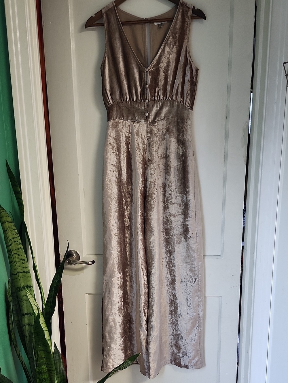 Amuse Society Champagne Velvet Jumpsuit S